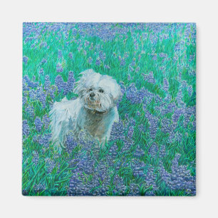 Bichon Frise in Blauem Rittersporn Magnet