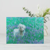 Bichon Frise in Bluebonnets Dankeskarte (Stehend Vorderseite)