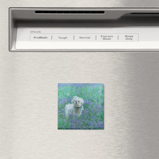 Bichon Frise in Bluebonnets Magnet (In Situ (Geschirrspüler))