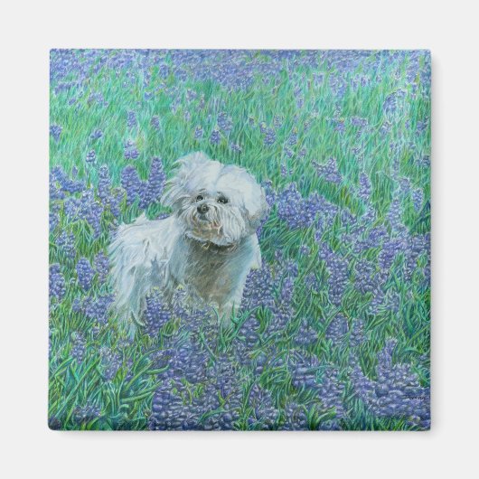 Bichon Frise in Bluebonnets Magnet (Vorne)