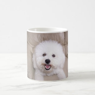 Bichon Frise Kaffeetasse