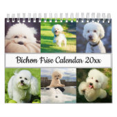 Bichon Frise Kalender (Titelbild)