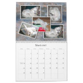 Bichon Frisé Kalender (Mär 2027)