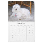 Bichon Frisé Kalender (Feb 2027)