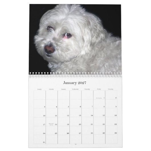 Bichon Frisé Kalender (Jan 2027)