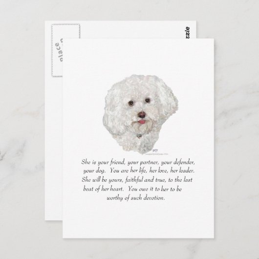Bichon Frise Keepake FEMALE Postkarte (Vorne/Hinten)