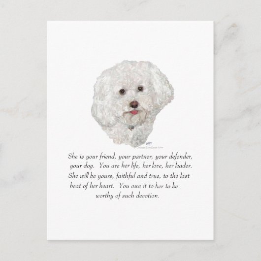 Bichon Frise Keepake FEMALE Postkarte (Vorderseite)