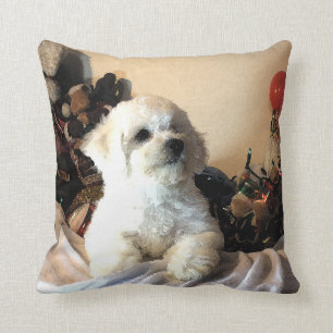 Bichon Frise Kissen