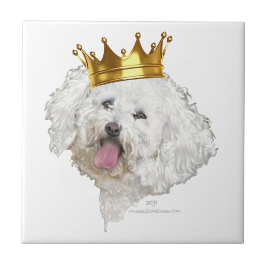 Bichon Frise König Fliese (Vorderseite)
