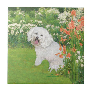 Bichon Frise Korallen-Fantasie Fliese