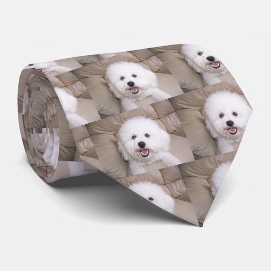 Bichon Frise Krawatte (Gerollt)