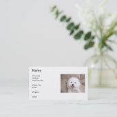 Bichon Frise lächelnde Visitenkarte (Stehend Vorderseite)