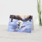 Bichon Frise lässt es Weihnachten schnee Karte (Vorderseite)
