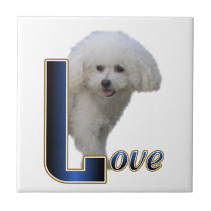 Bichon Frise Liebe Fliese