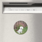 Bichon Frise Magnet (In Situ (Geschirrspüler))