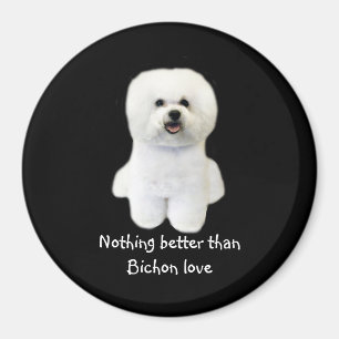Bichon Frise Magnet