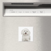 Bichon Frise Magnet (In Situ (Geschirrspüler))