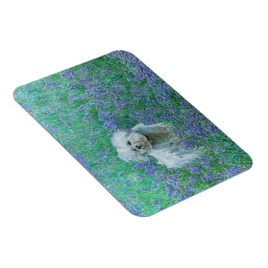 Bichon Frise Magnet (Rechte Seite)