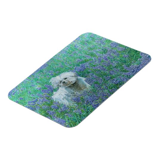 Bichon Frise Magnet (Linke Seite)