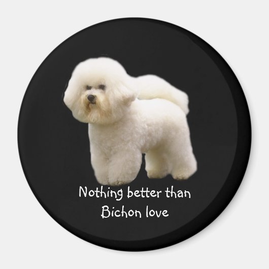 Bichon Frise Magnet (Vorne)