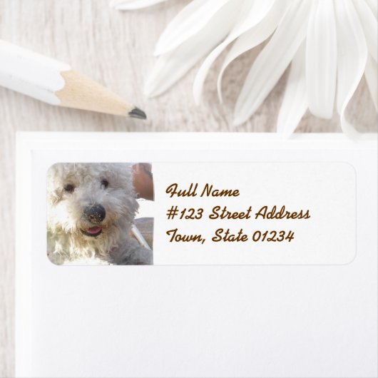 Bichon Frise-Mailing-Label (Insitu)