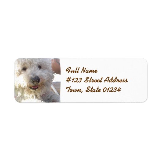 Bichon Frise-Mailing-Label (Vorne)