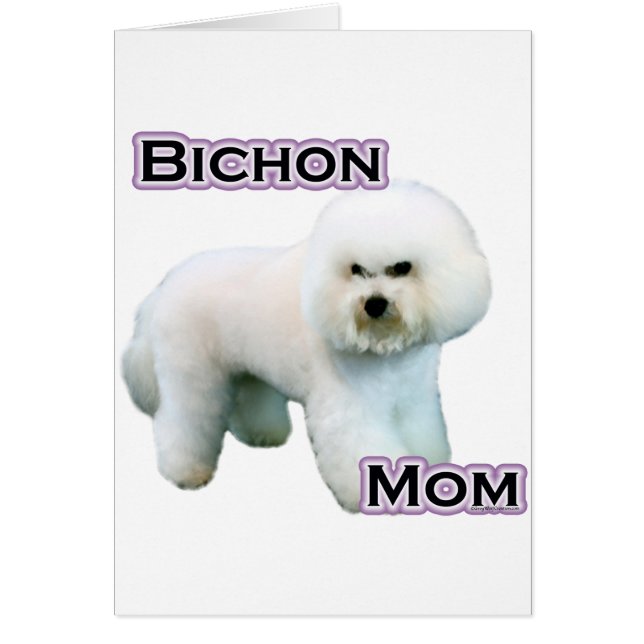 Bichon Frise Mama 4 (Vorne)