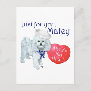 Bichon Frise Matrosen-Valentine Feiertagspostkarte