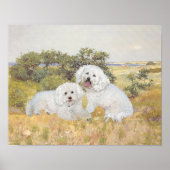 Bichon Frise Meadow View Poster (Vorne)