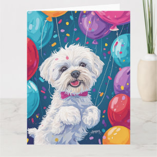 Bichon Frise mit Luftballons Karte