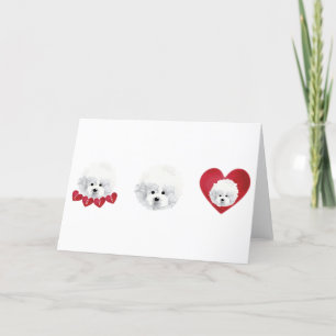 Bichon Frise _ mix _  Feiertagskarte