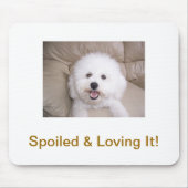 Bichon Frise Mousepad (Vorne)