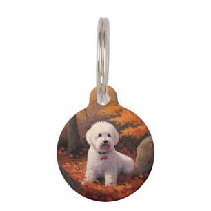 Bichon Frise n Herbstleaves Fall Inspiriert Haustiermarke