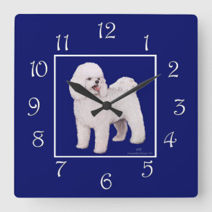 Bichon Frise Navy Square Quadratische Wanduhr