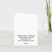 Bichon Frise - Notecard Karte (Rückseite)