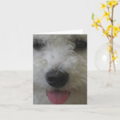 Bichon Frise - Notecard Karte (Gelbe Blume)