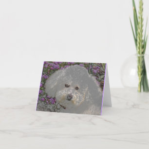 Bichon Frise Notecard Karte