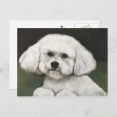 Bichon Frise Original Hund Postkarte (Vorne/Hinten)