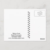 Bichon Frise Original Hund Postkarte (Rückseite)
