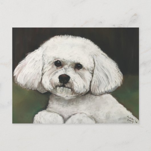 Bichon Frise Original Hund Postkarte (Vorderseite)