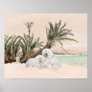 Bichon Frise Palmy Beach Poster