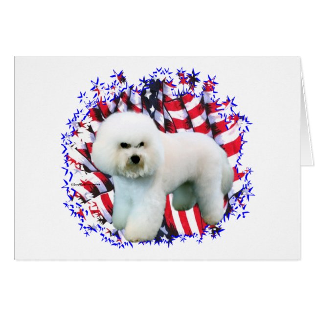 Bichon Frise Patriot (Vorderseite (Horizontal))