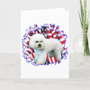 Bichon Frise Patriot Karte