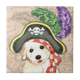 Bichon Frise Pirate Fliese