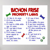 BICHON FRISE PL2 POSTER (Vorne)