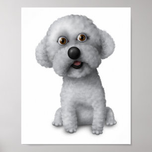 Bichon Frise: Plakat 8x10