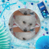 Bichon Frisé.png Pappteller (Party)