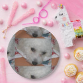 Bichon Frisé.png Pappteller (Party)