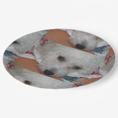 Bichon Frisé.png Pappteller (Schrägansicht)