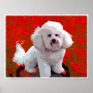Bichon Frise Pop Art Prints Poster